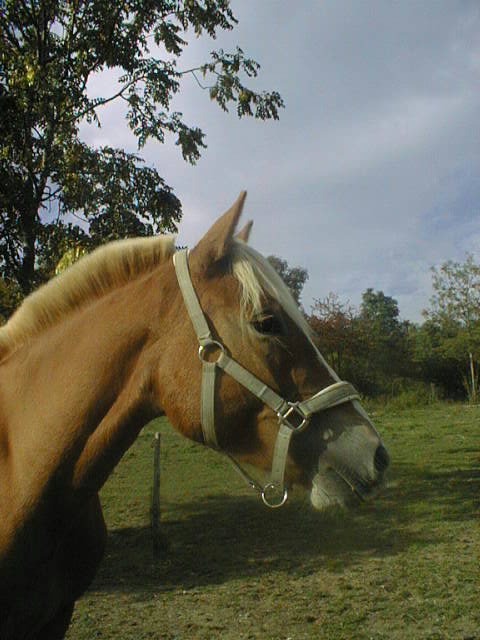 Photo de profil de c0nstanc3