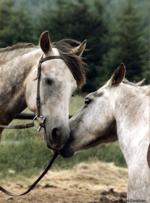 Photo de profil de camilia!