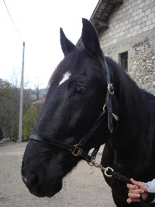 Photo de profil de catty