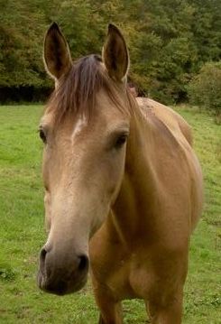 Photo de profil de celinou