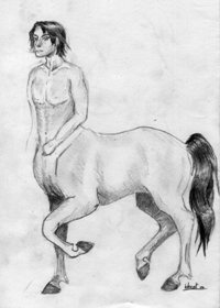Photo de profil de centaure