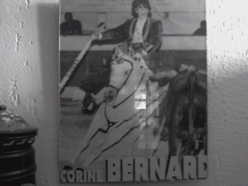 Photo de profil de corinebernard