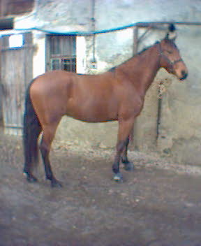 Photo de profil de craps