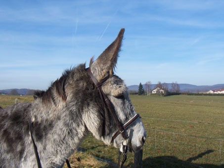 Photo de profil de cyrielle90