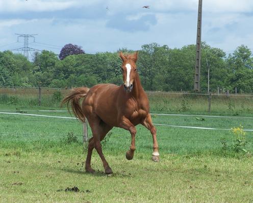 Photo de profil de delphe