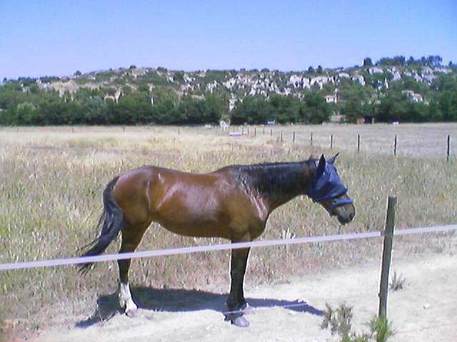 Photo de profil de delphorion