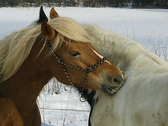 Photo de profil de diline57