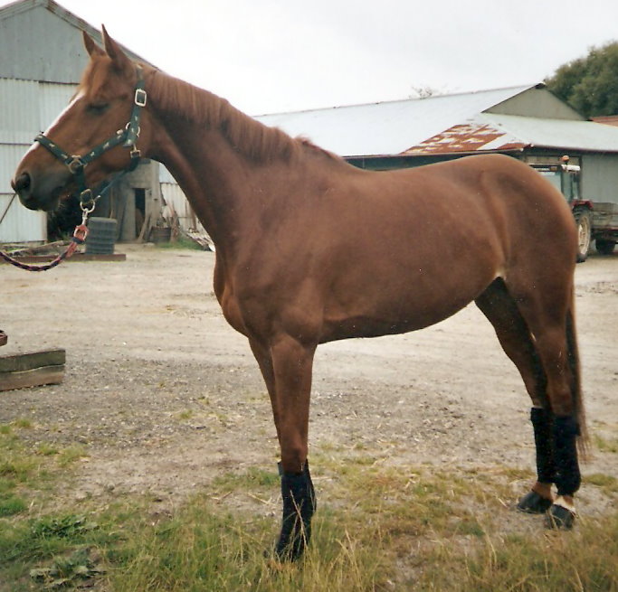 Photo de profil de dine2212