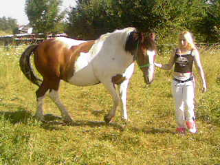 Photo de profil de domaine_avallon