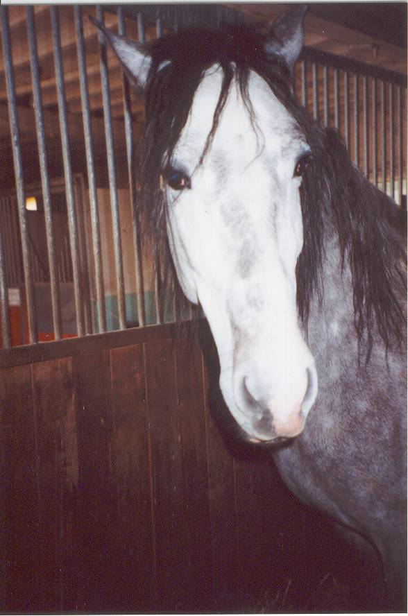 Photo de profil de duende31