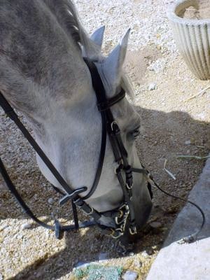 Photo de profil de anais21