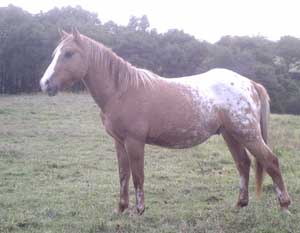 Photo de profil de astoch