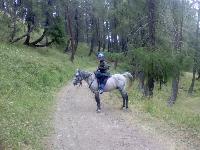 Photo de profil de azaroh