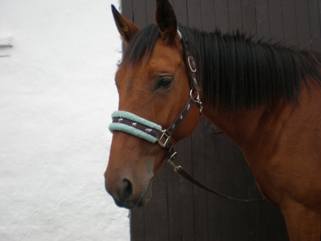 Photo de profil de biloute6b