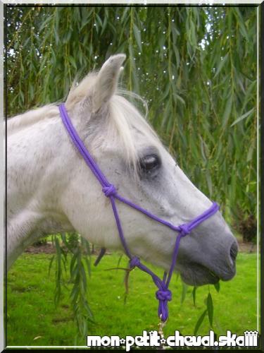 Photo de profil de camille18