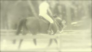 Photo de profil de catjolll