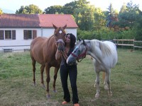 Photo de profil de celoria