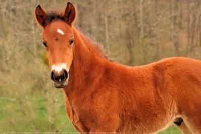 Photo de profil de ch4n3ls