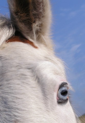 Photo de profil de chachou5500