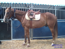 Photo de profil de claire22