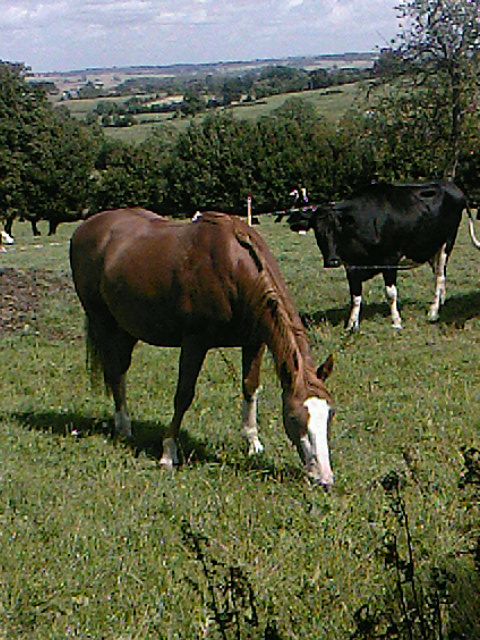 Photo de profil de dalko