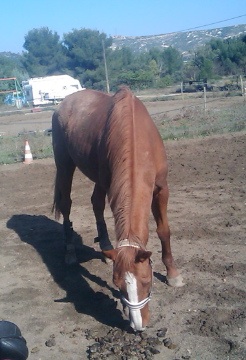 Photo de profil de elektra