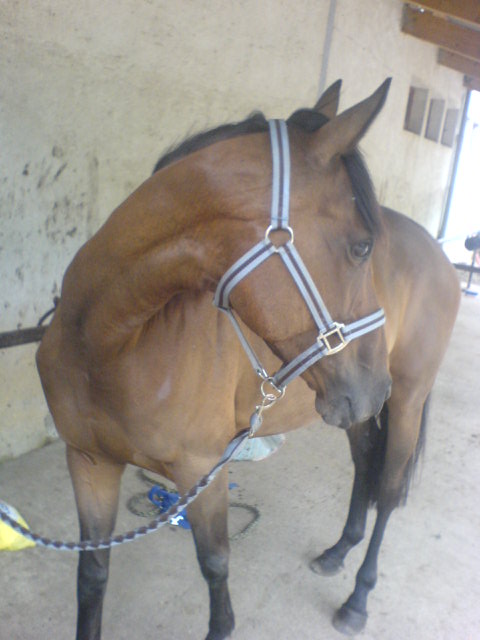 Photo de profil de emmalice