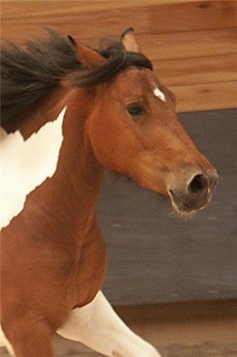 Photo de profil de fanfanjetaime