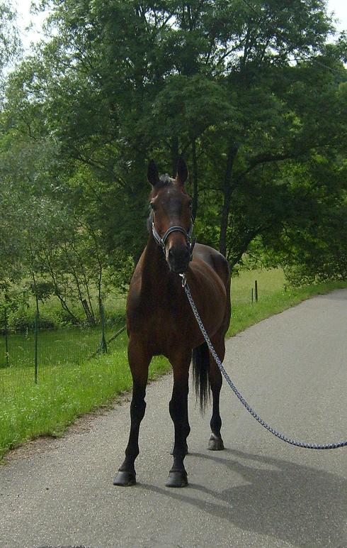Photo de profil de fanny6768