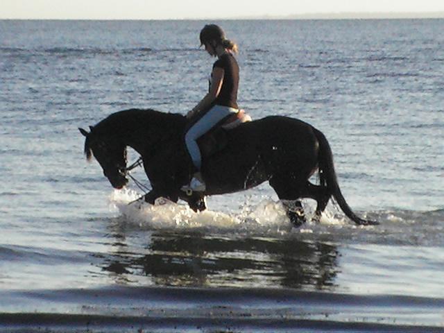 Photo de profil de franco354