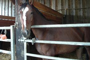 Photo de profil de furio