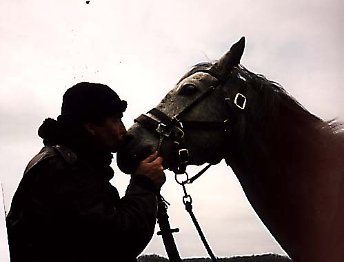 Photo de profil de gilesik
