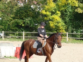 Photo de profil de guib77