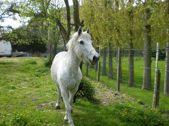 Photo de profil de helamimi76