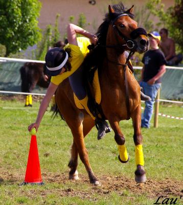 Photo de profil de ilovepony