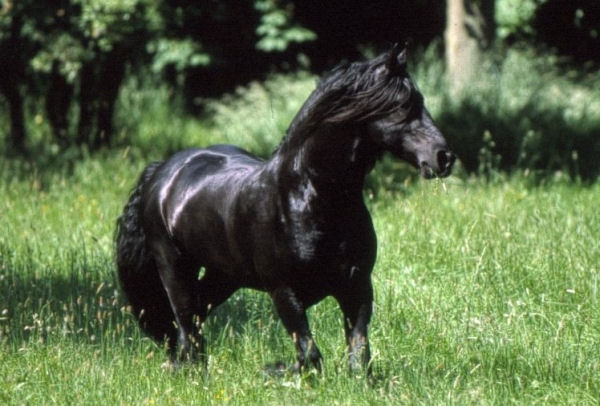 Photo de profil de jimmycheval