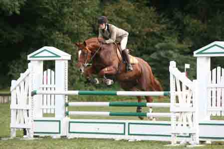 Photo de profil de karadv