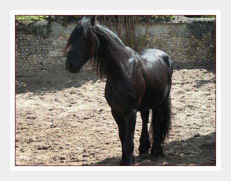 Photo de profil de kees