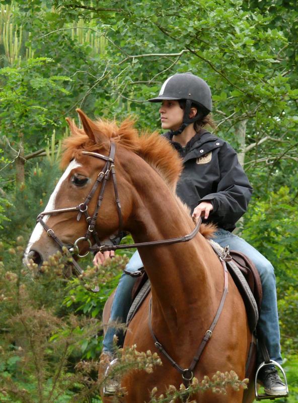 Photo de profil de l-ou