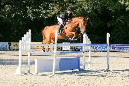 Photo de profil de laurend