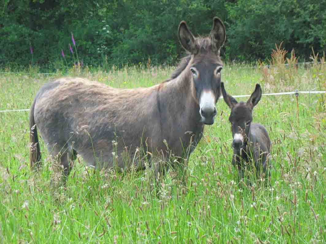 Photo de profil de lereaume