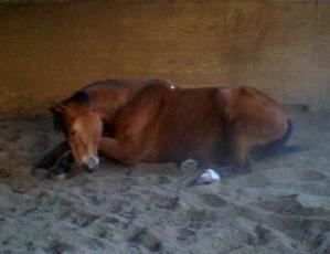 Photo de profil de lilinet