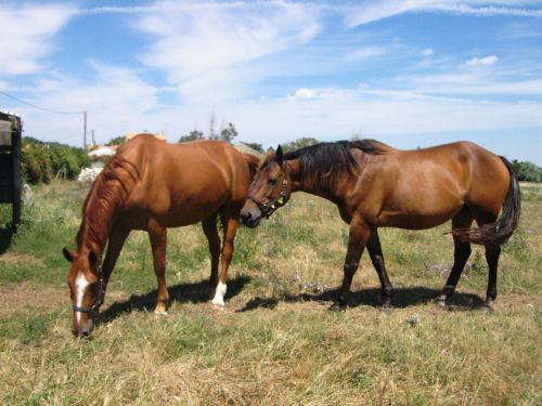 Photo de profil de lolo17