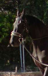 Photo de profil de lovate