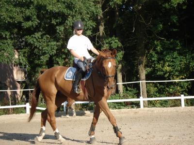 Photo de profil de margauxjacobson