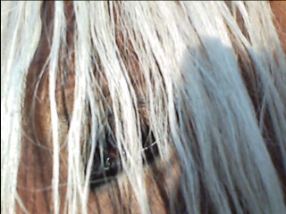 Photo de profil de mimi-82