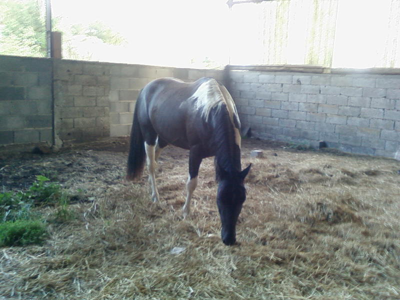 Photo de profil de misselouna63
