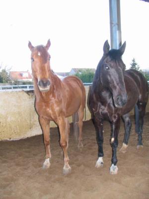 Photo de profil de momo6277