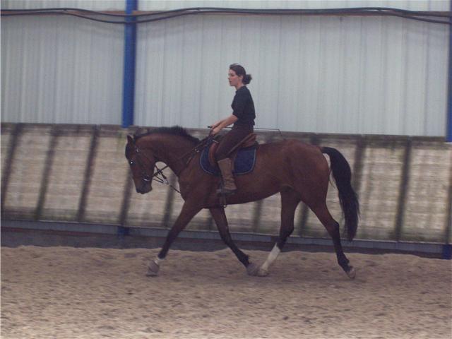 Photo de profil de moomoos