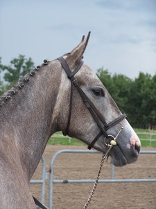 Photo de profil de moufletjtm